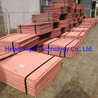 Cathode Copper Waste Sheet Thermal Conductivity Standard Mould Cu Cath T2 C11000 Cathode Purple Electrode Red Copper Wholesale Red Copper